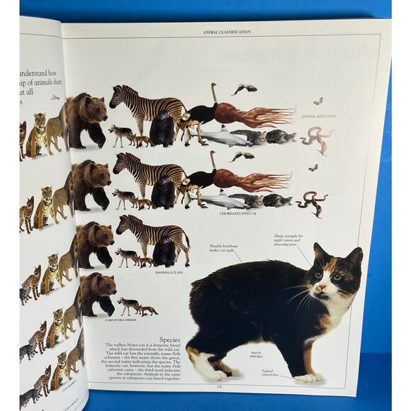 DK Encyclopedia of Animals (2006, Softcover) Stunning Photos, Facts, Reference - Picture 6 of 8
